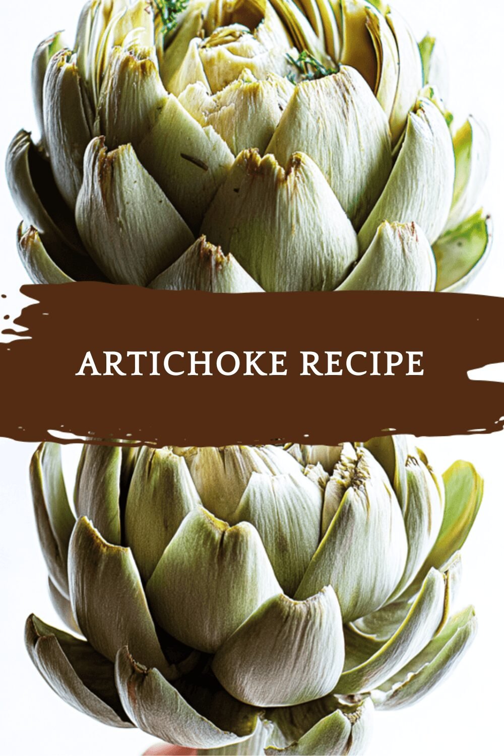 Artichoke Recipe