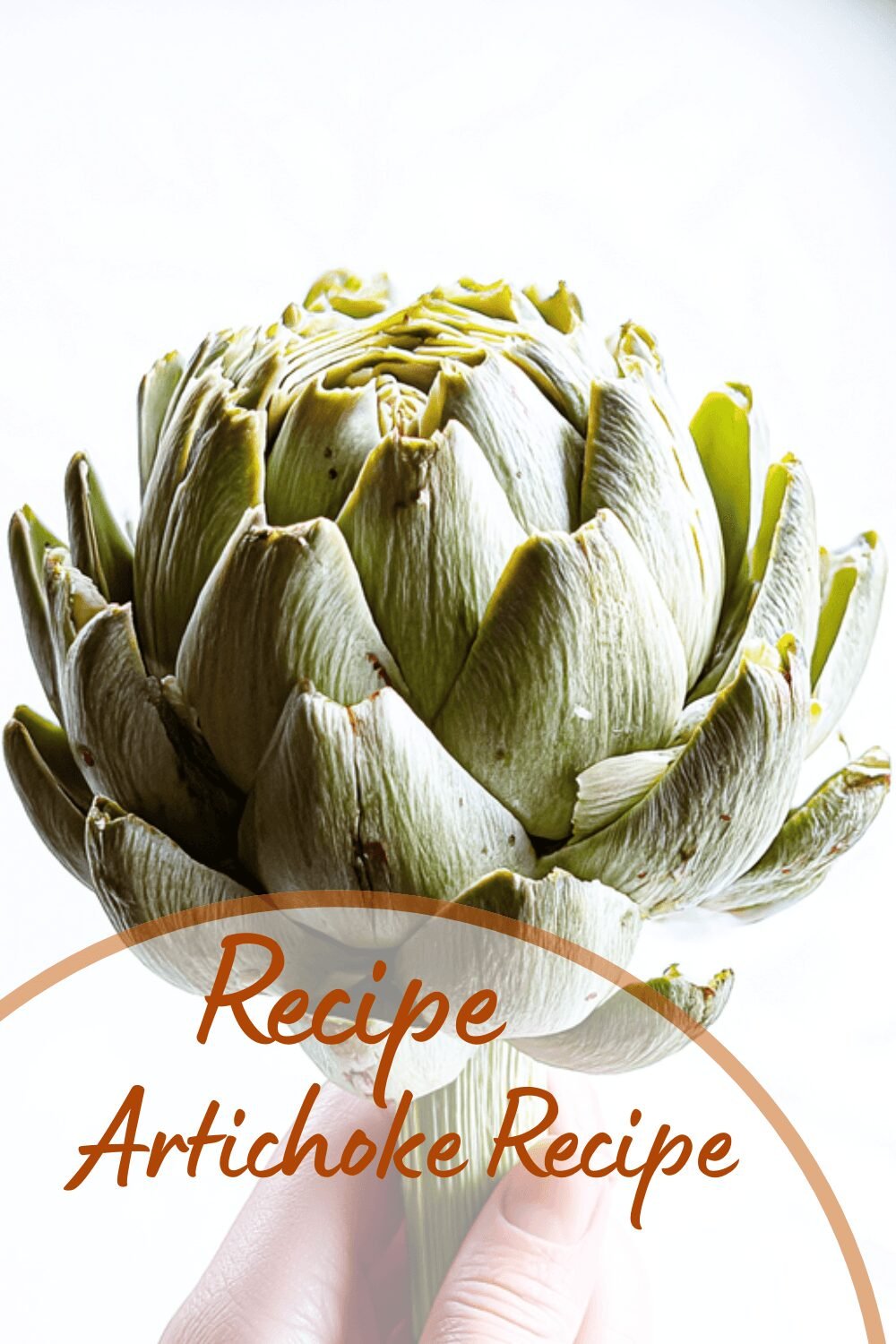 Artichoke Recipe