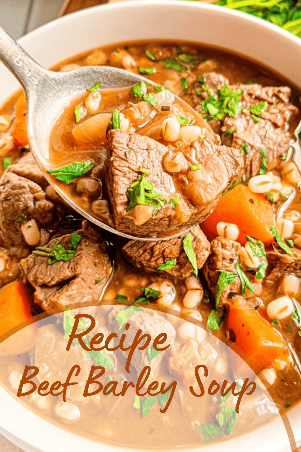 Beef Barley Soup