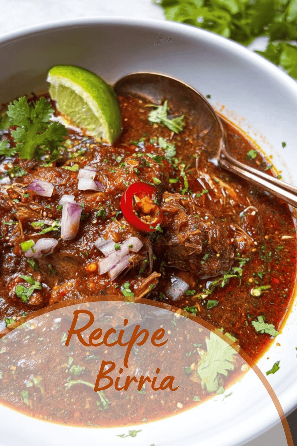 Birria