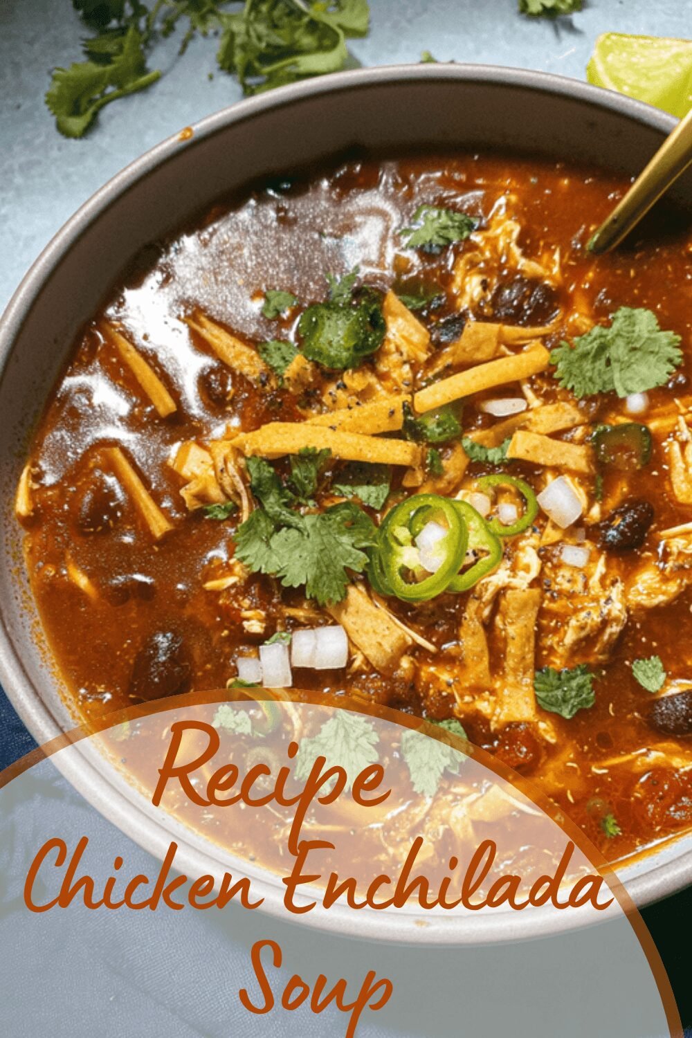 Chicken Enchilada Soup