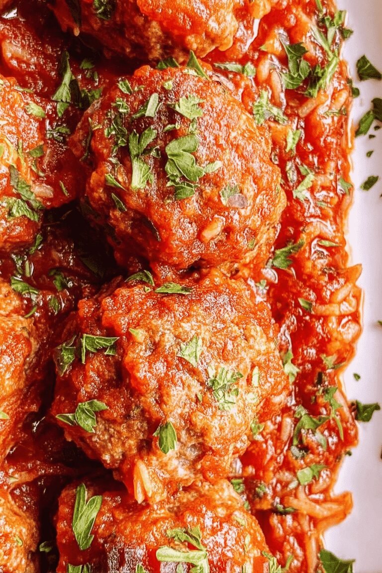 Porcupine Meatballs 23.Png