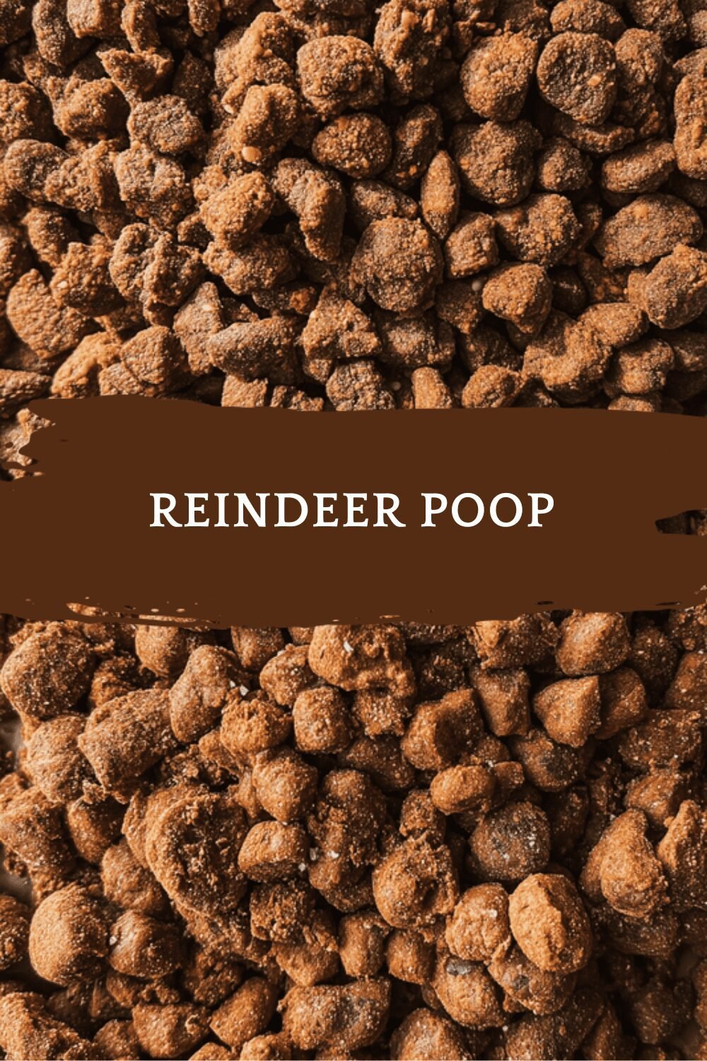 Reindeer Poop