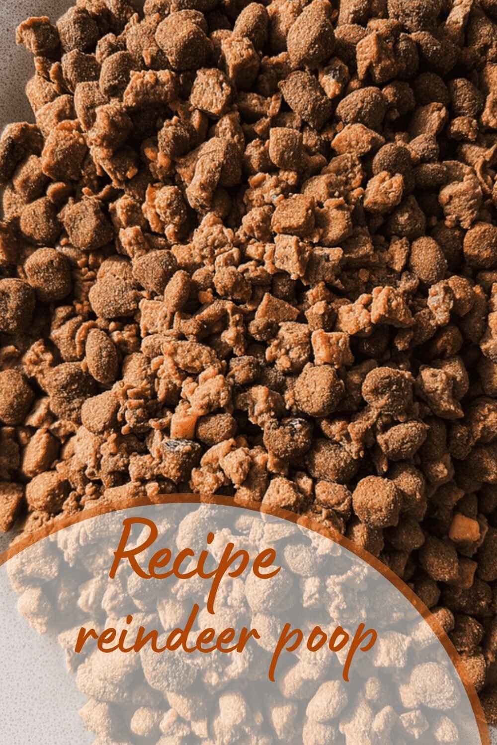 Reindeer Poop