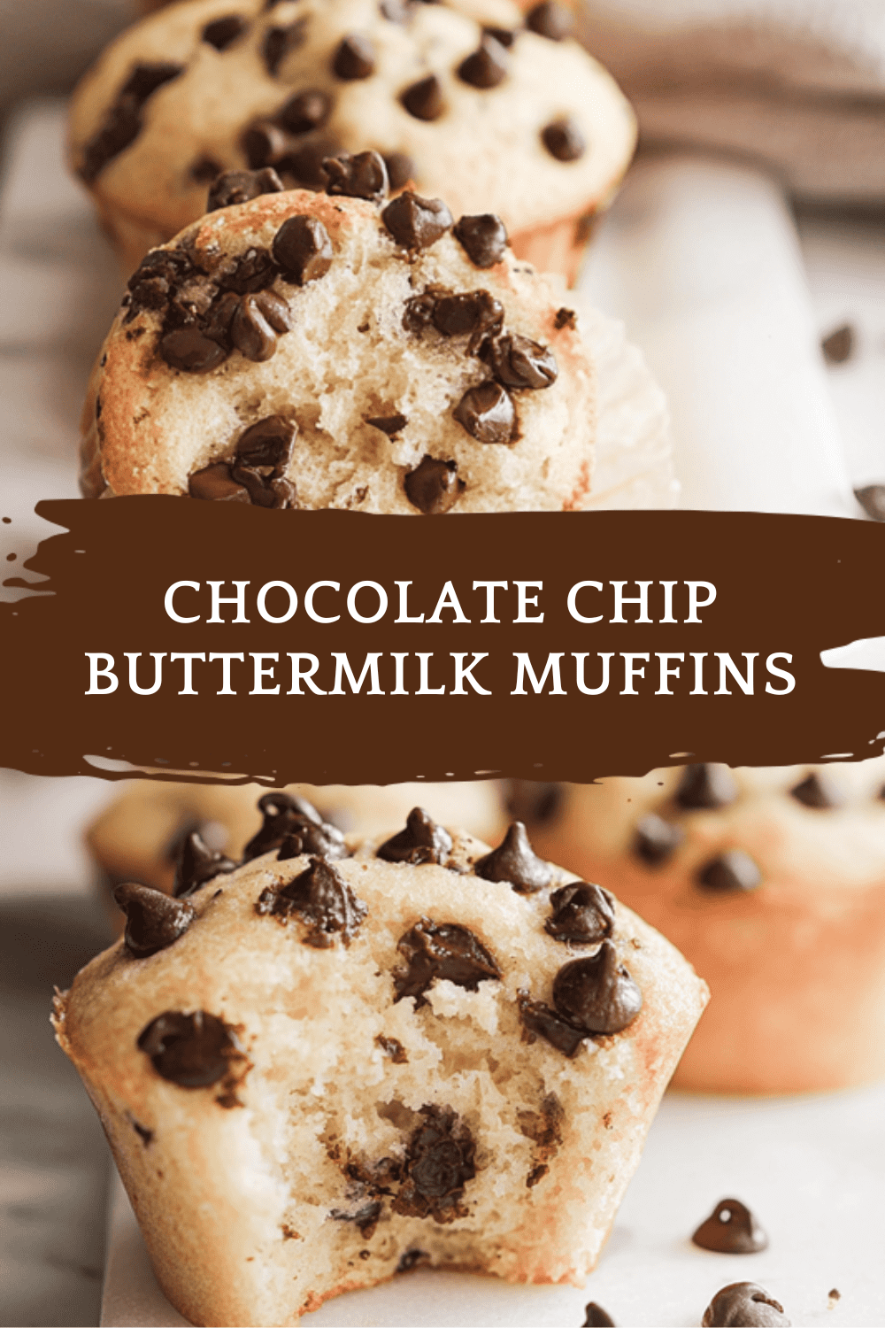 Chocolate Chip Buttermilk Muffins