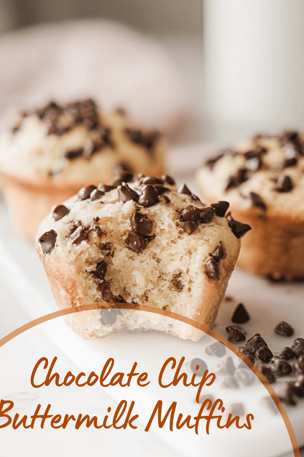 Chocolate Chip Buttermilk Muffins