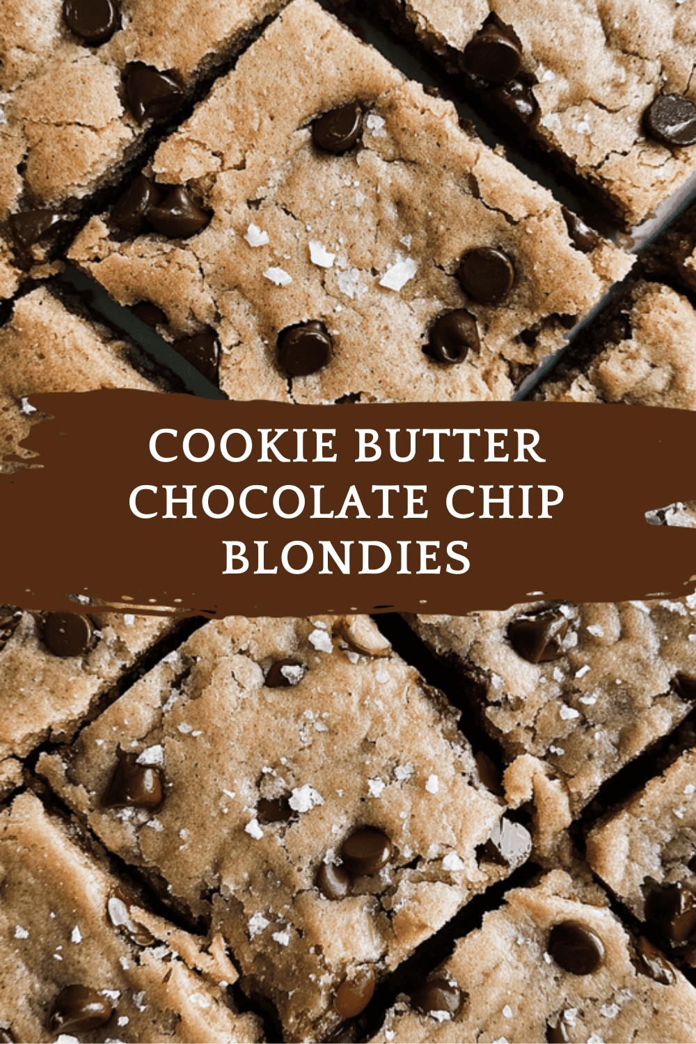 Cookie Butter Chocolate Chip Blondies
