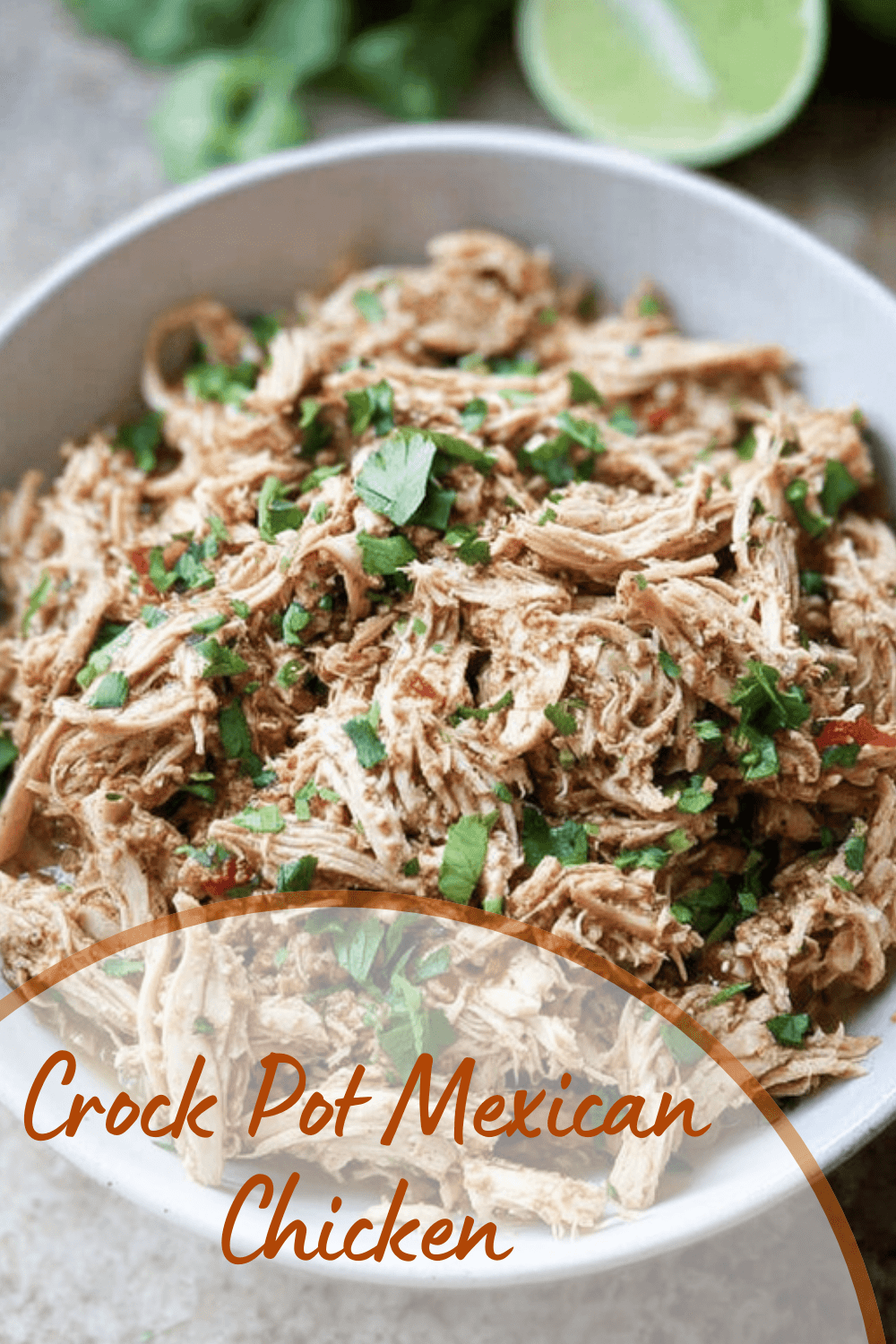 Crock Pot Mexican Chicken