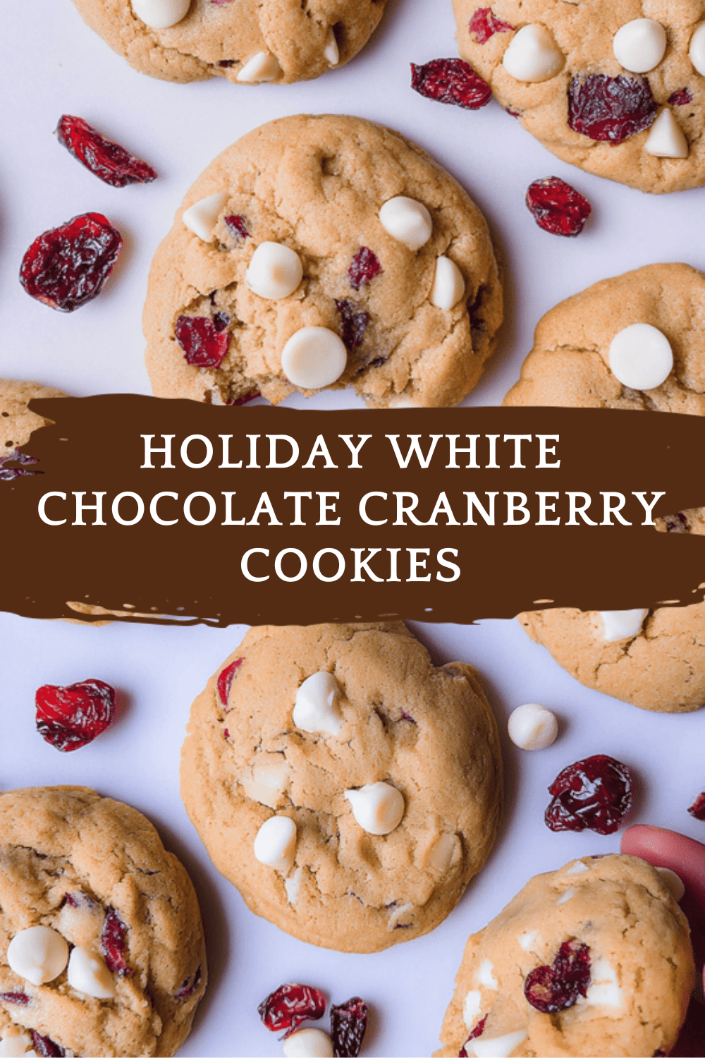 White Chocolate Cranberry Cookies Soft Baked For Chewy Delight 6 Holiday White Chocolate Cranberry Cookies