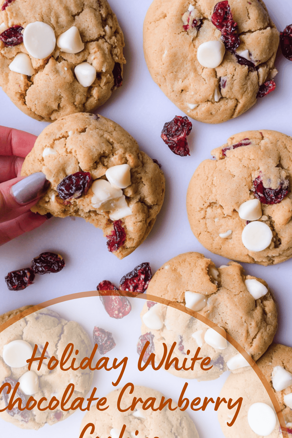 White Chocolate Cranberry Cookies Soft Baked For Chewy Delight 7 Holiday White Chocolate Cranberry Cookies