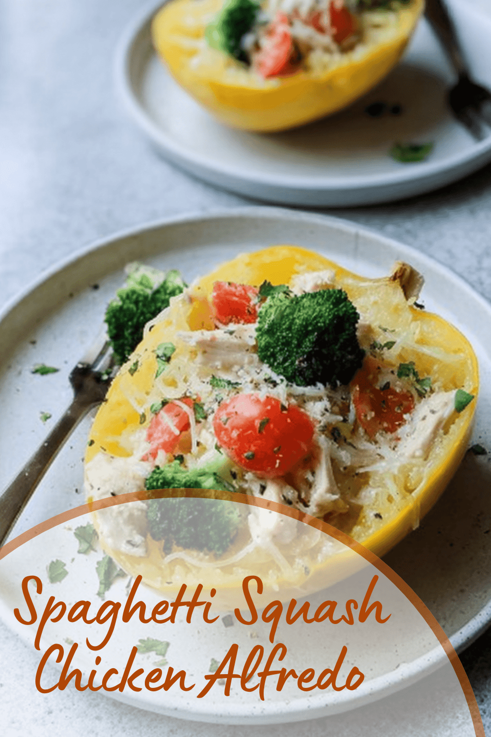 Skinny Chicken Alfredo Stuffed Spaghetti Squash Recipe 7 Spaghetti Squash Chicken Alfredo