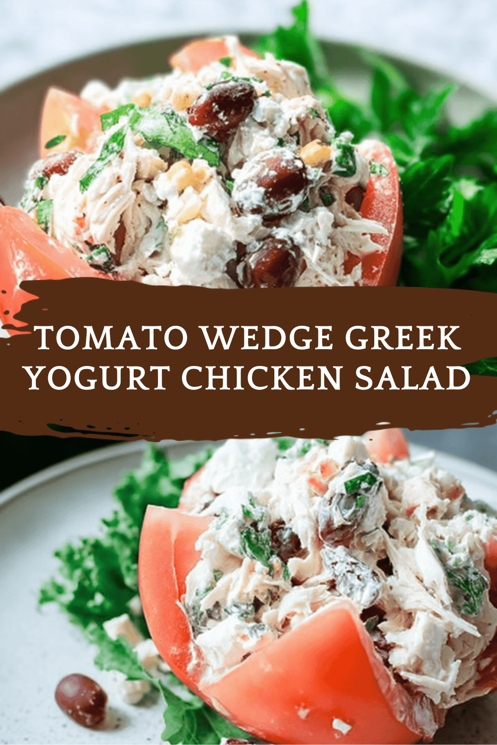Tomato Wedge Greek Yogurt Chicken Salad