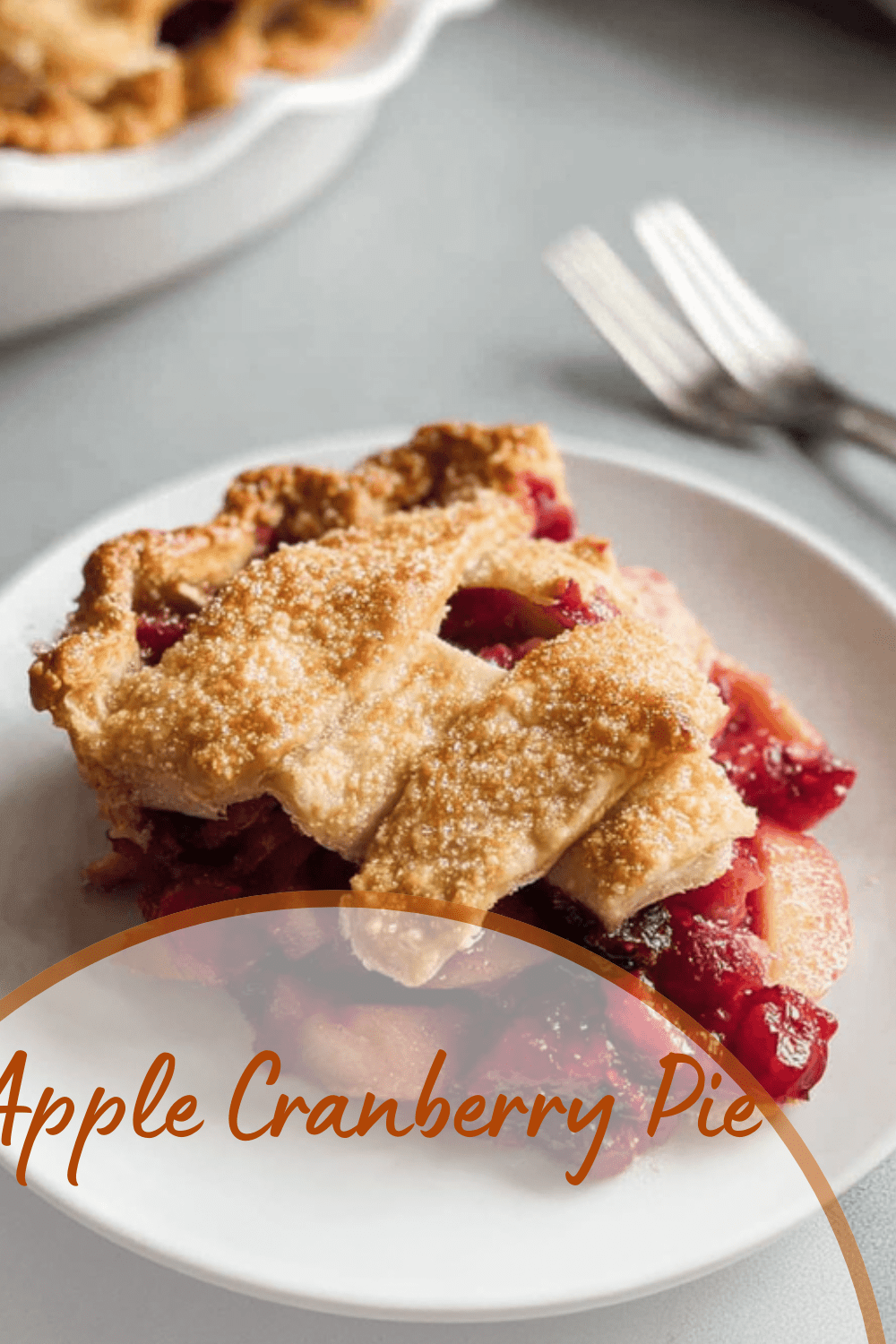 Apple Cranberry Pie