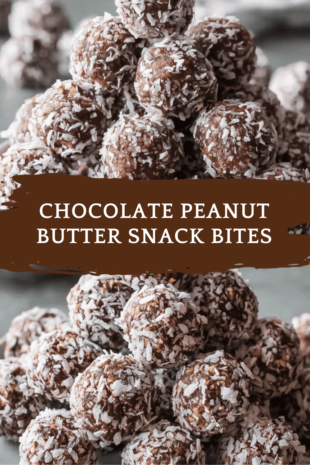 Chocolate Peanut Butter Snack Bites