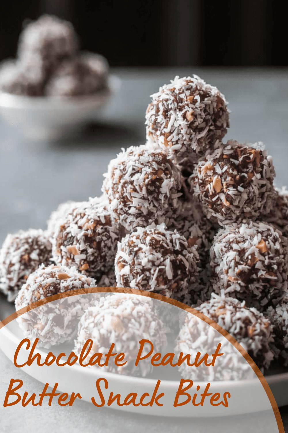 Chocolate Peanut Butter Snack Bites