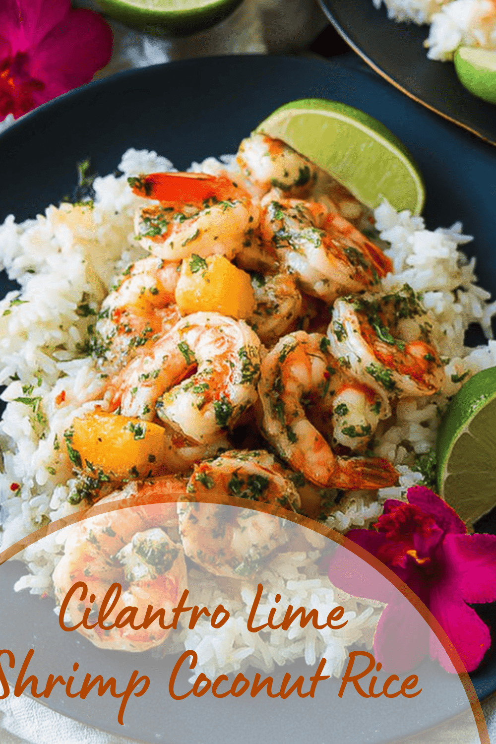 Cilantro Lime Shrimp With Creamy Coconut Rice Recipe 7 Cilantro Lime Shrimp Coconut Rice