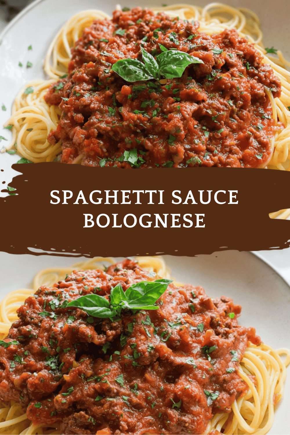 Spaghetti Sauce Bolognese