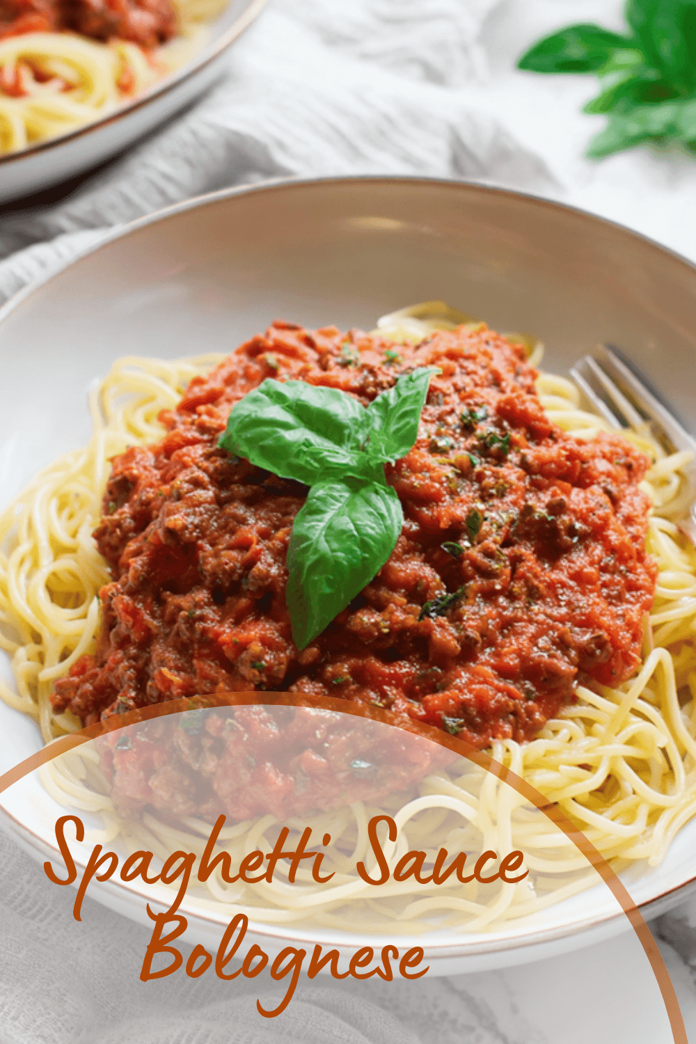 Spaghetti Sauce Bolognese