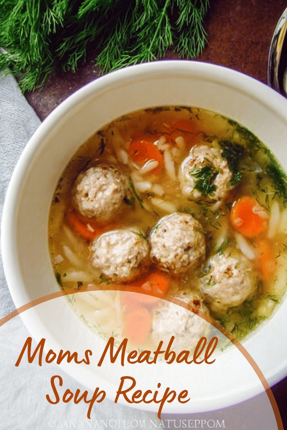 Moms Meatball Soup Recipe