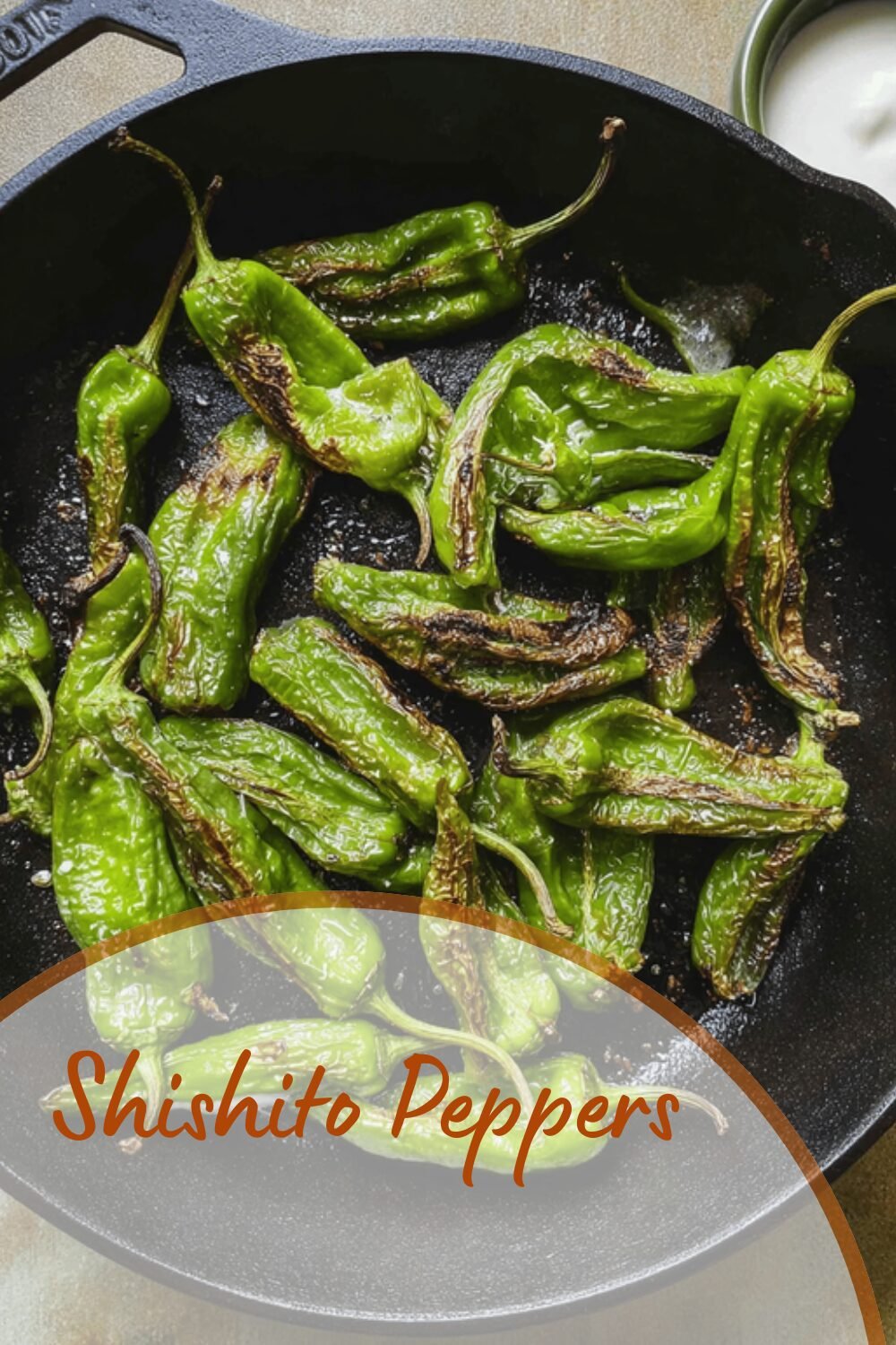 Shishito Peppers
