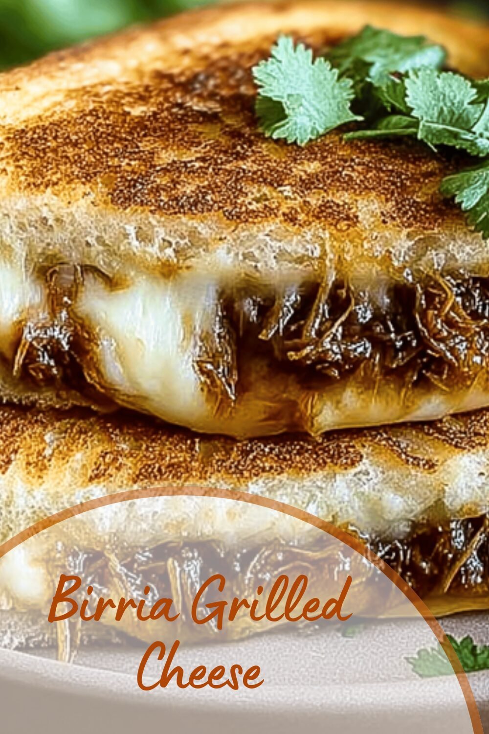 Birria Grilled Cheese
