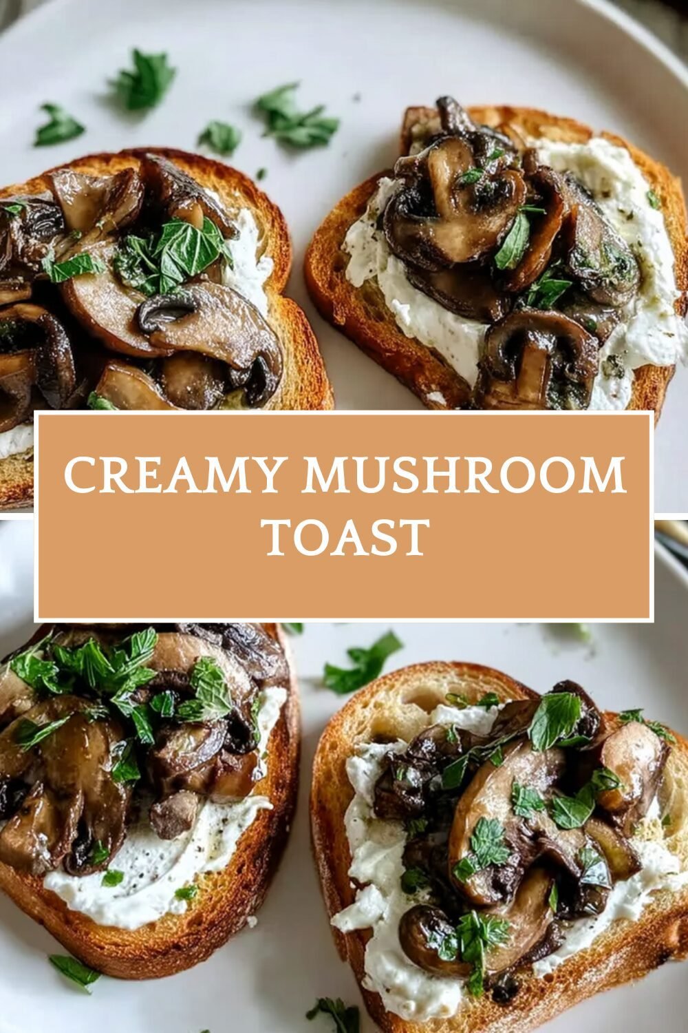 Creamy Mushroom Toast