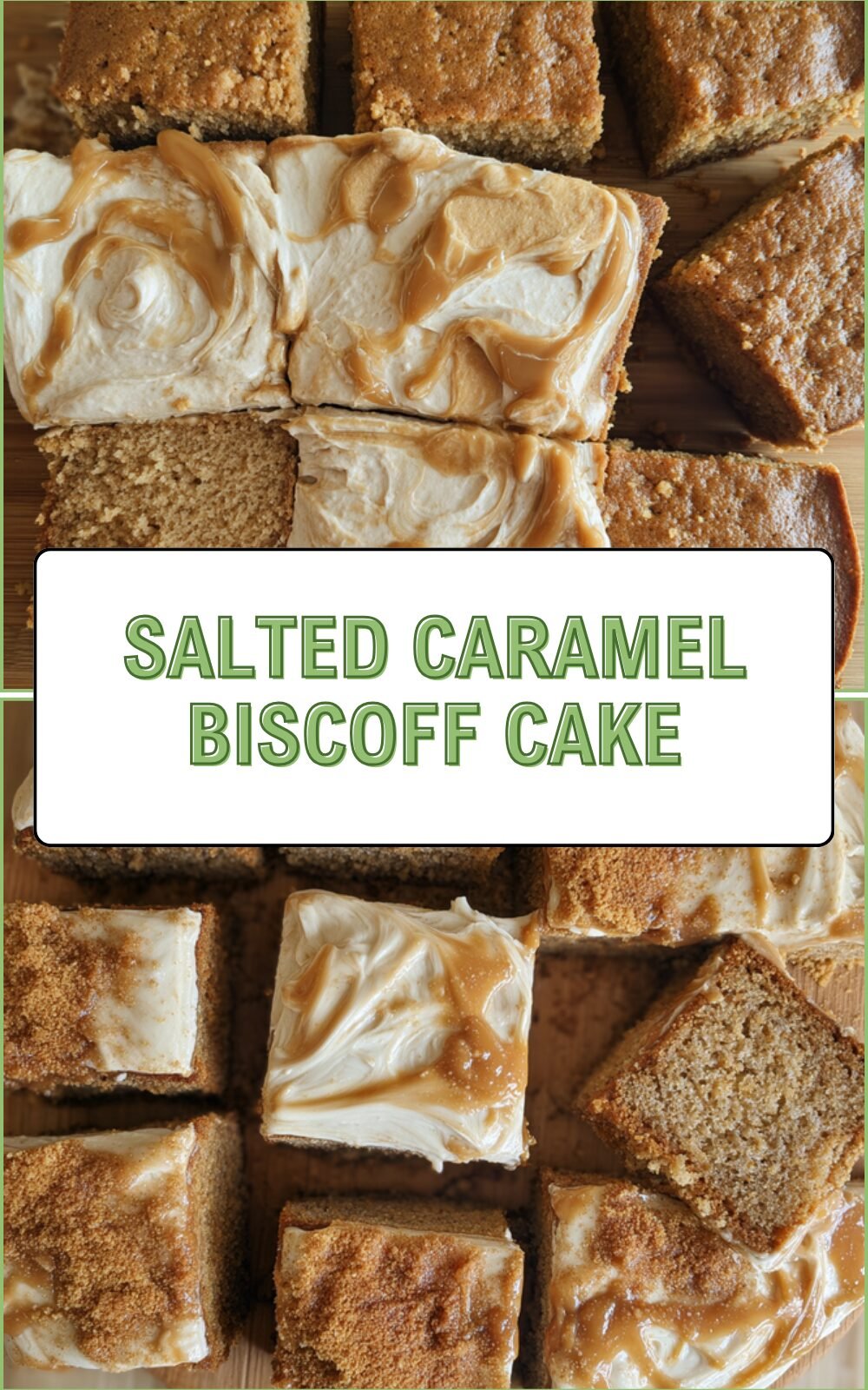 Salted Caramel Biscoff Cake