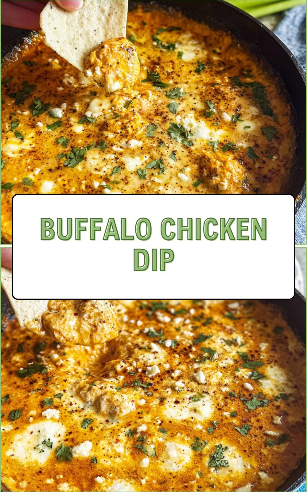 Buffalo Chicken Dip