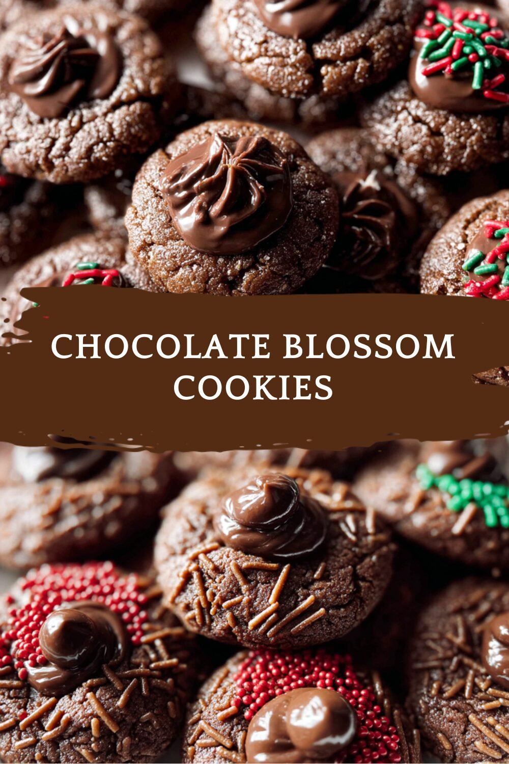 Chocolate Blossom Cookies
