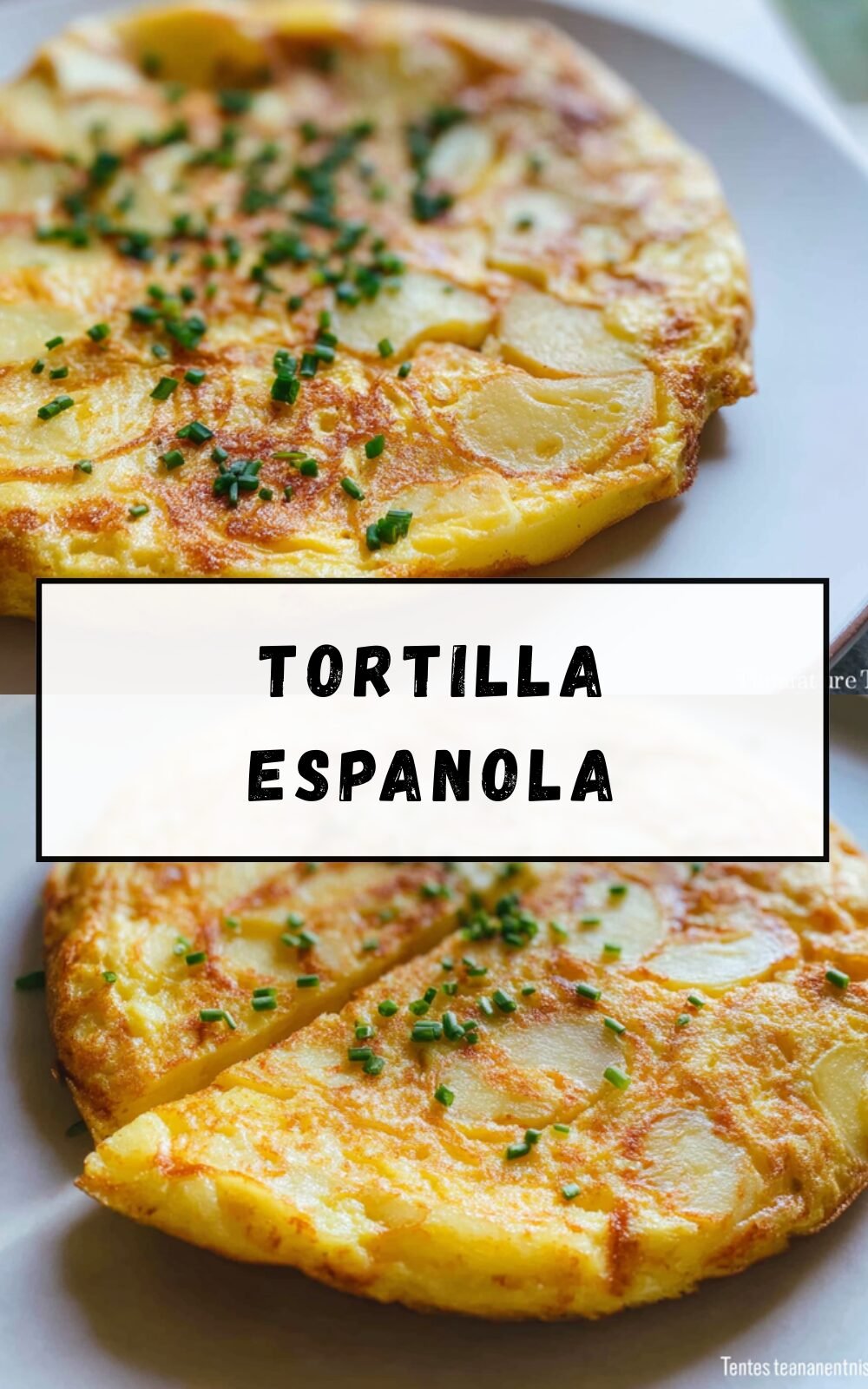 Tortilla Espanola