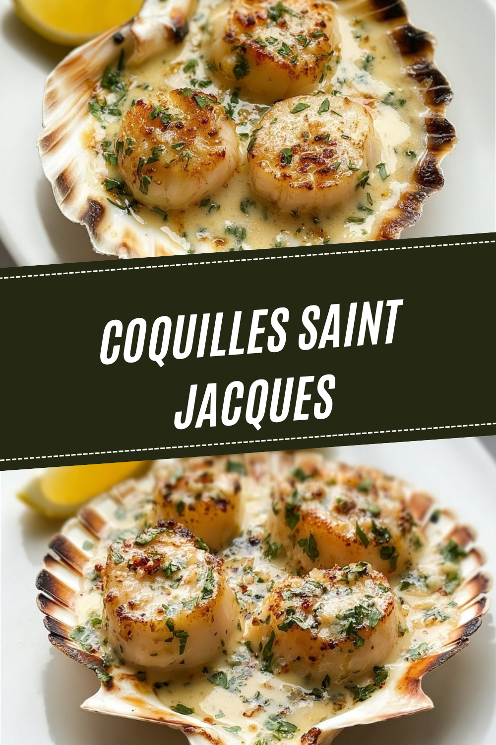 Coquilles Saint Jacques