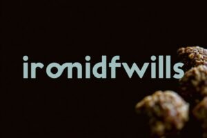 Healthy Protein Balls Recipes 8.png