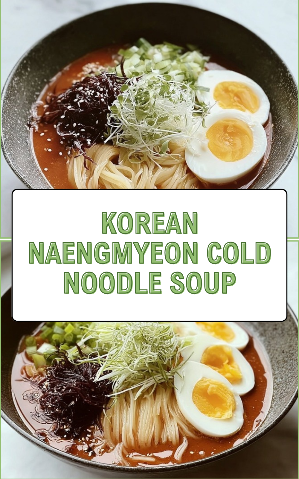 Korean Naengmyeon Cold Noodle Soup
