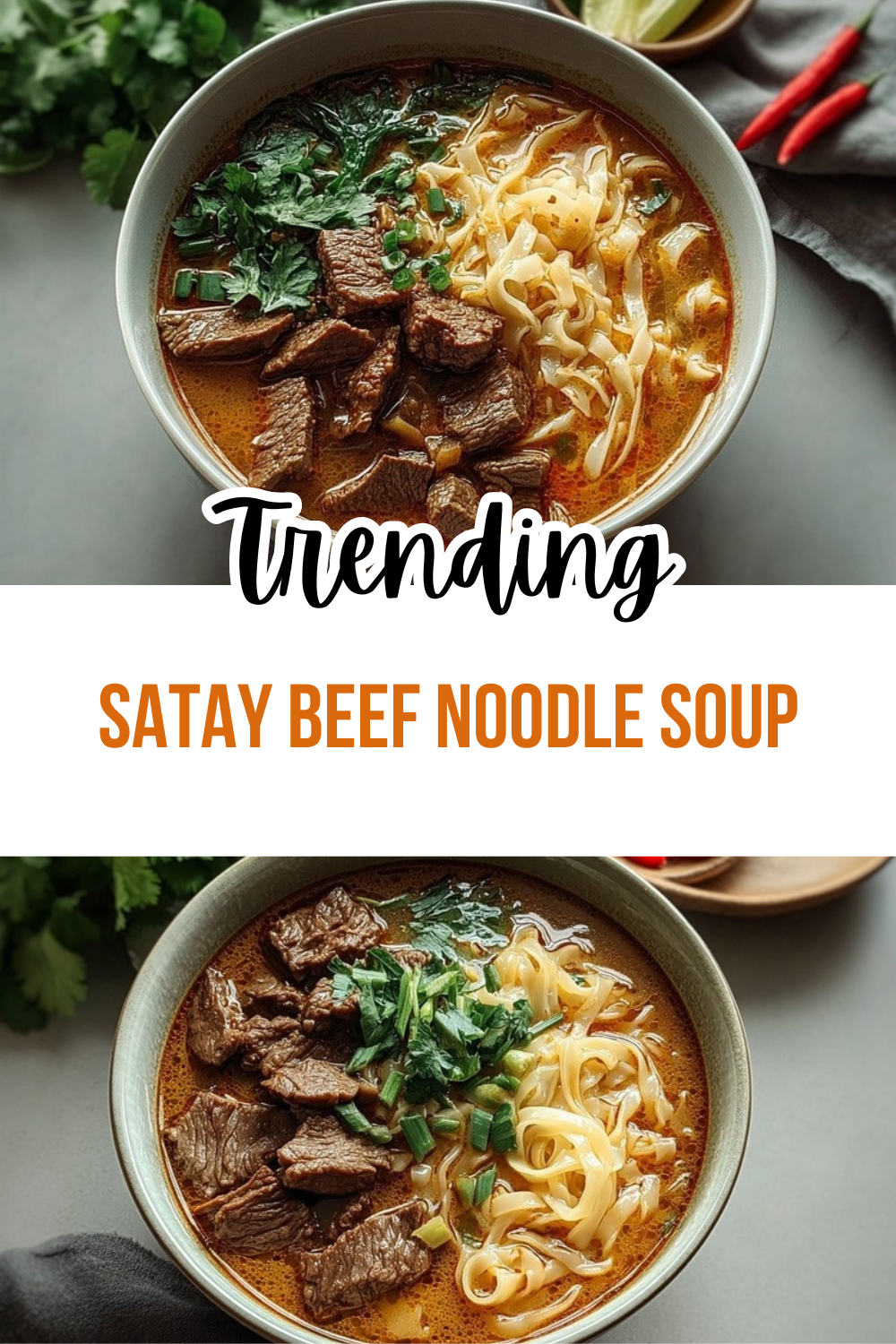 Satay Beef Noodle Soup